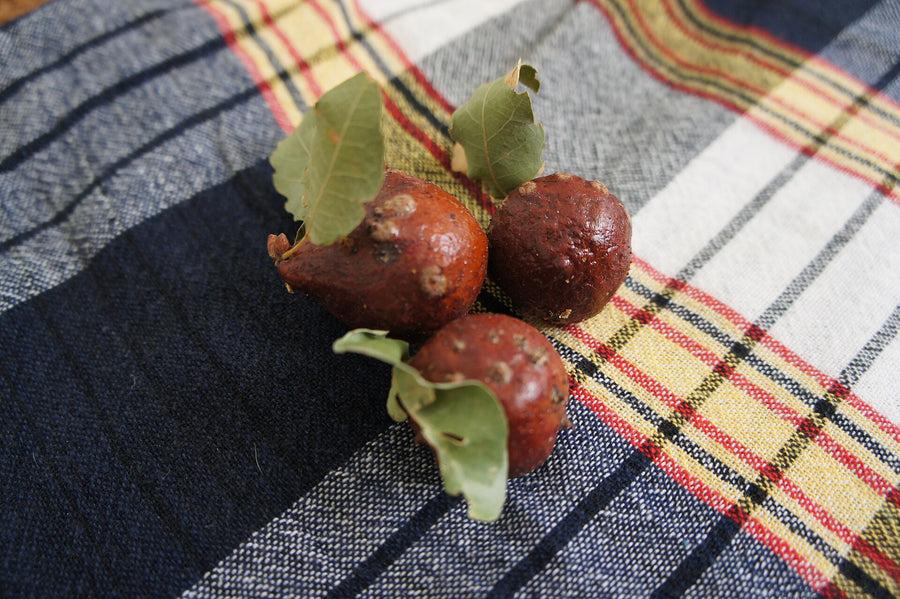 Mayaphala