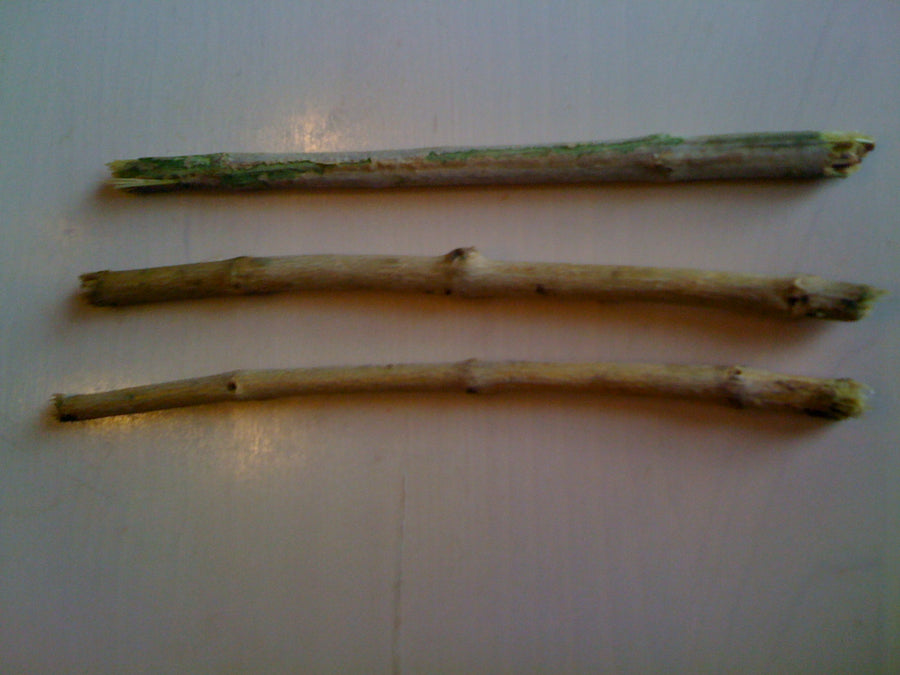 Miswak